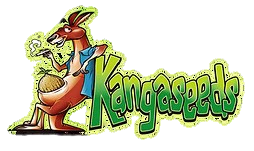 kanga seeds